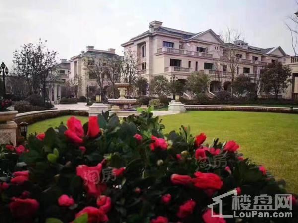 效果图