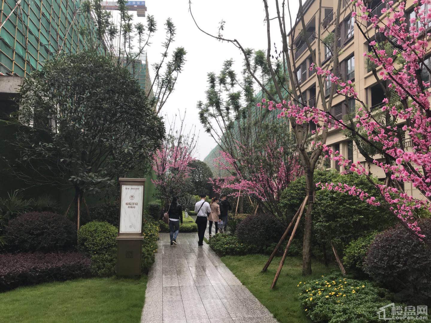 联发西城首府实景图