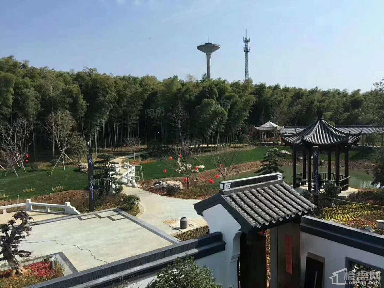 印象枫桥实景图