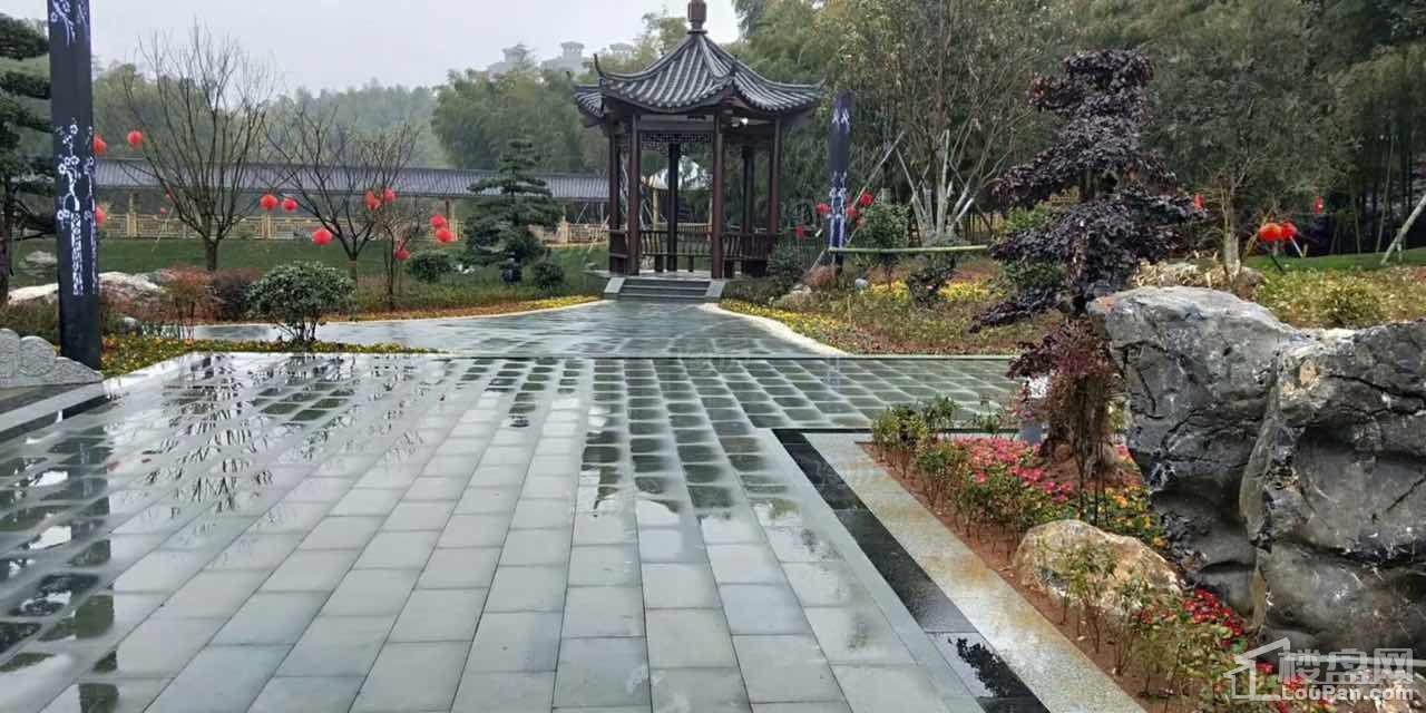 印象枫桥实景图