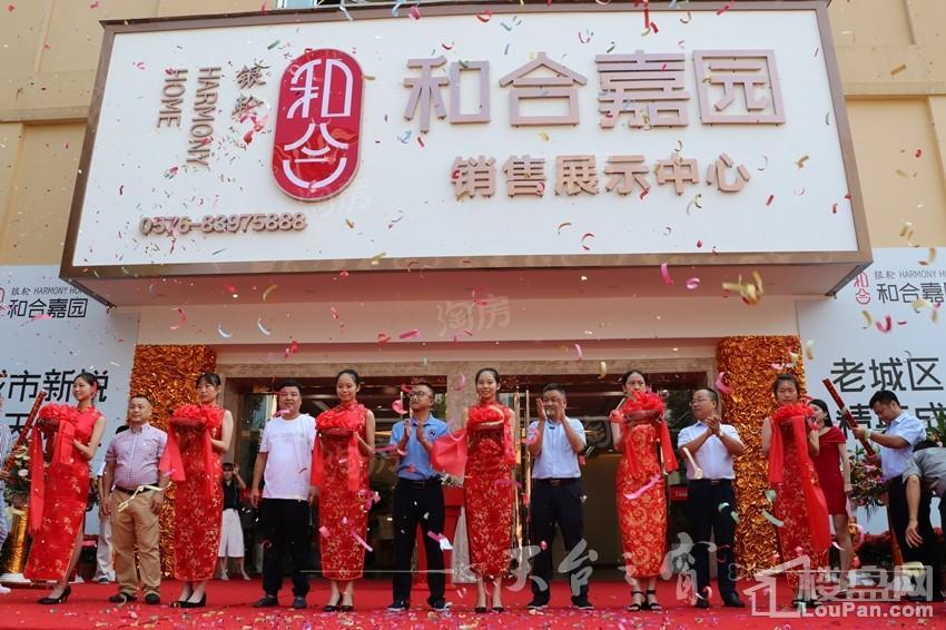 银轮和合嘉园效果图
