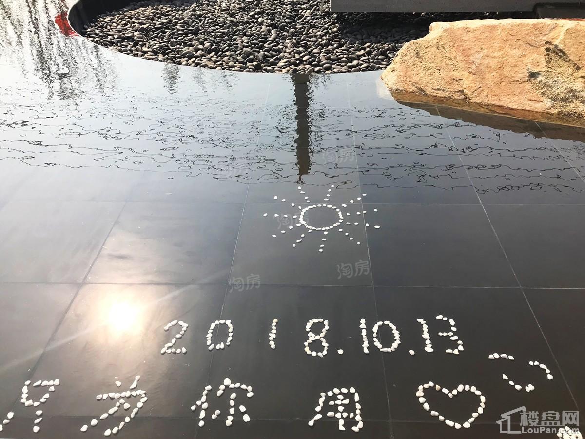 儒辰观澜府实景图