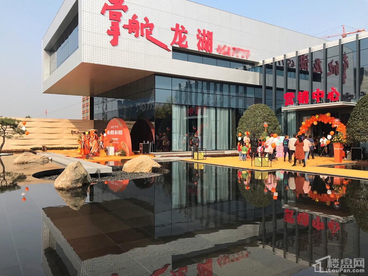 儒辰观澜府实景图