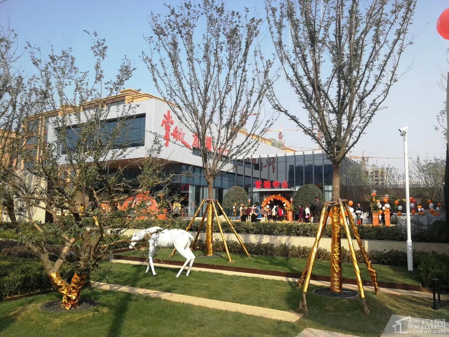 儒辰观澜府实景图
