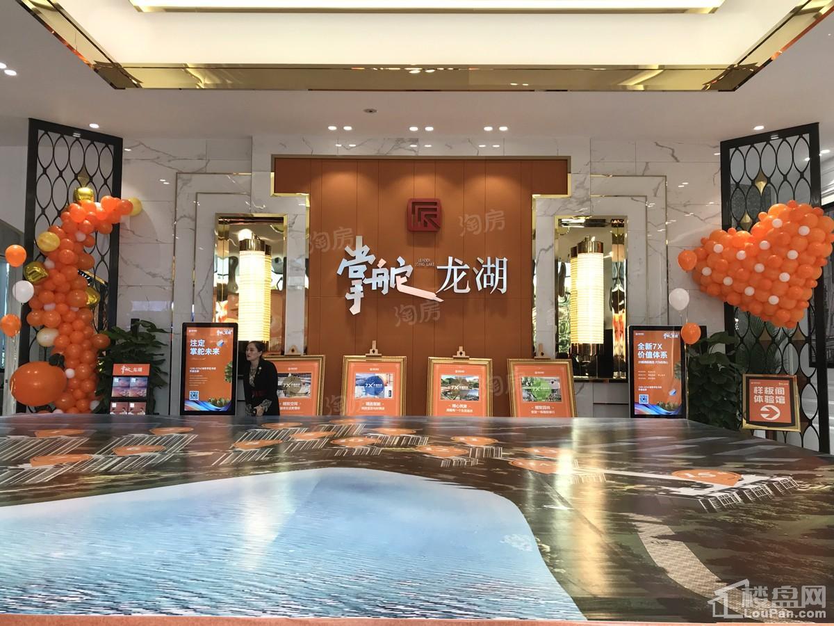 儒辰观澜府实景图