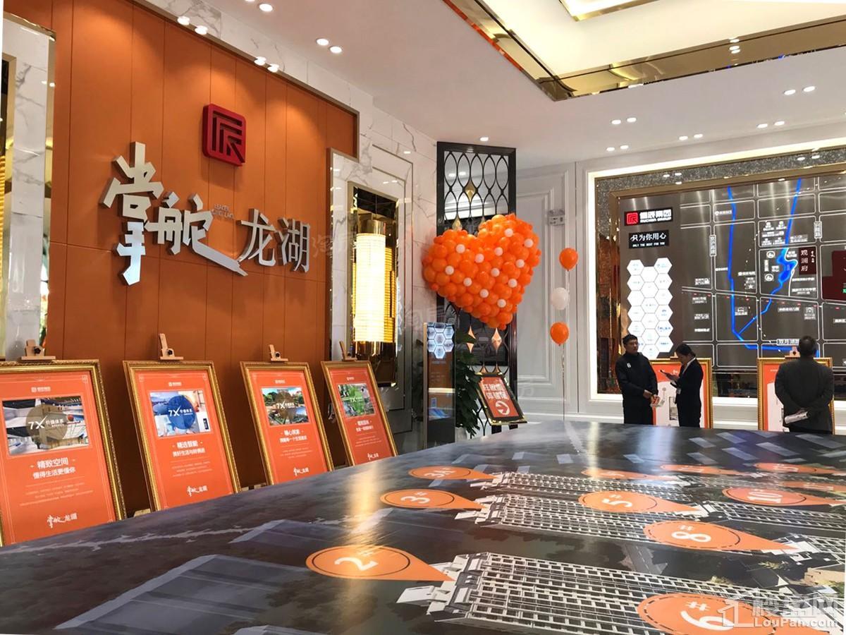儒辰观澜府实景图