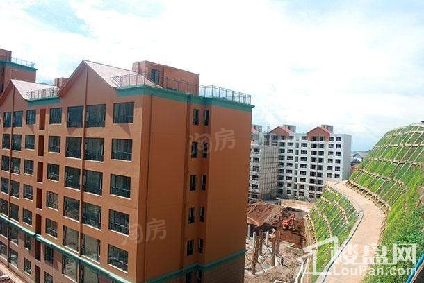 大理十畝实景图