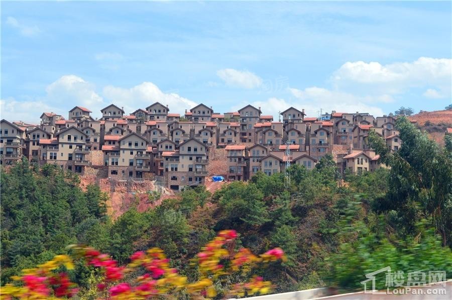 大理十畝实景图