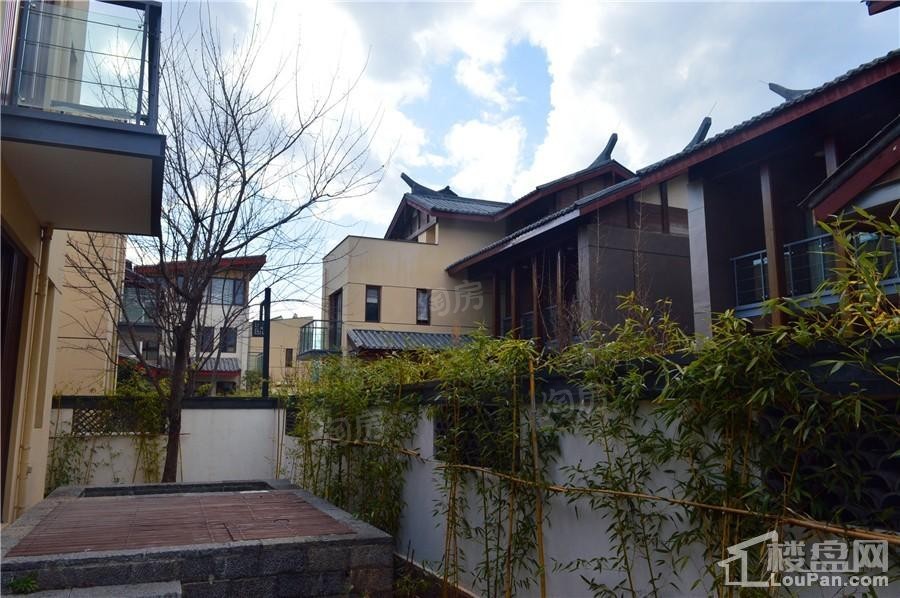金茂谷镇实景图