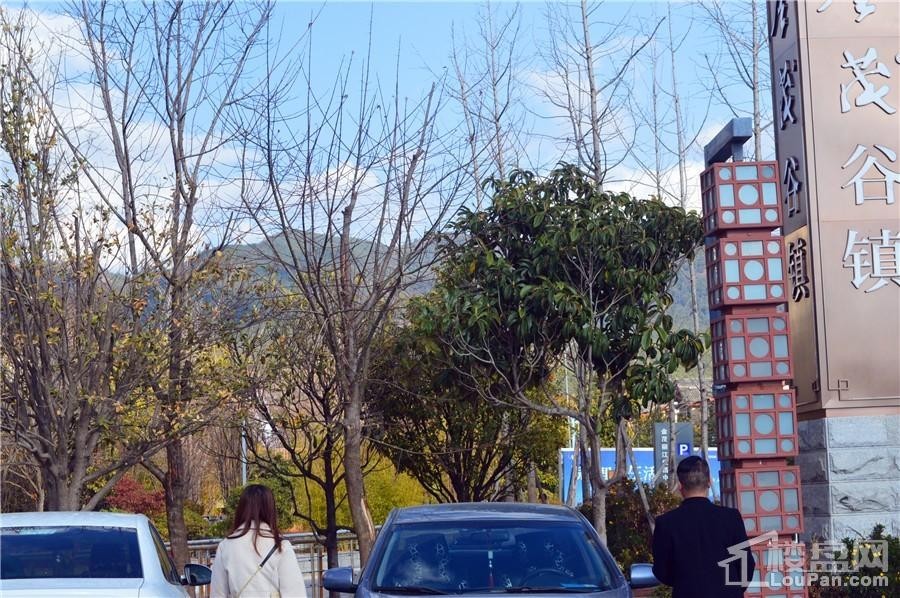 金茂谷镇实景图