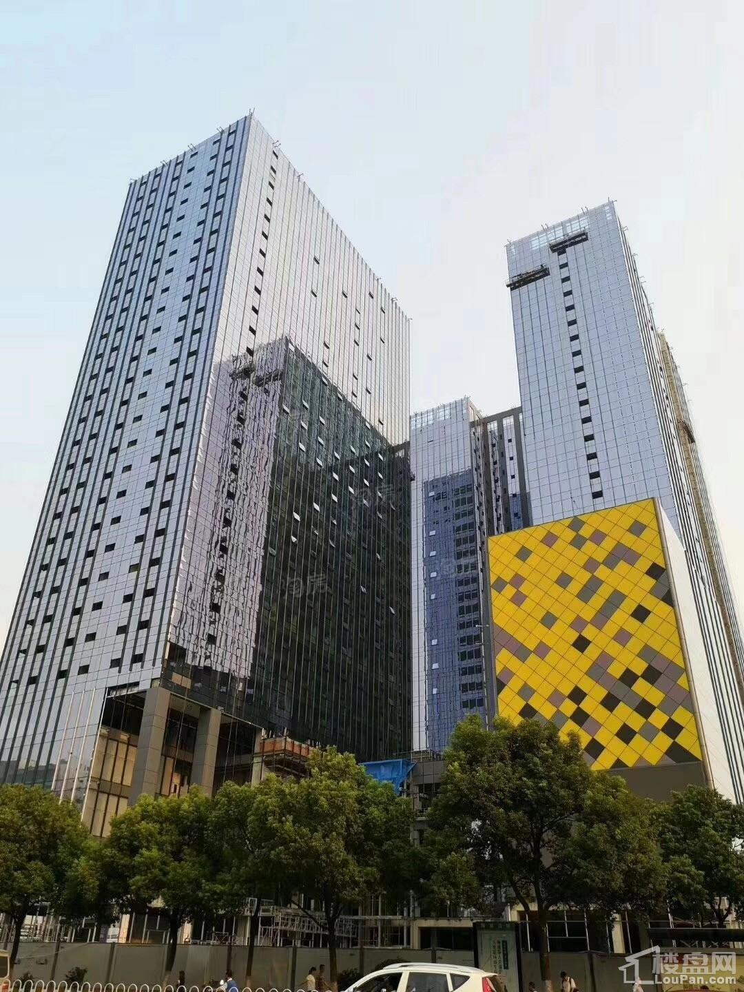实景图