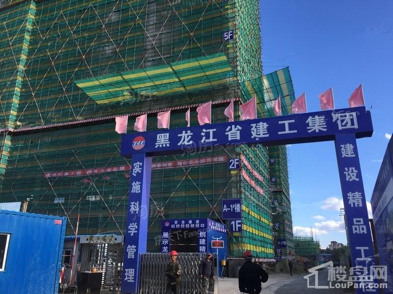 中亚MOMA实景图