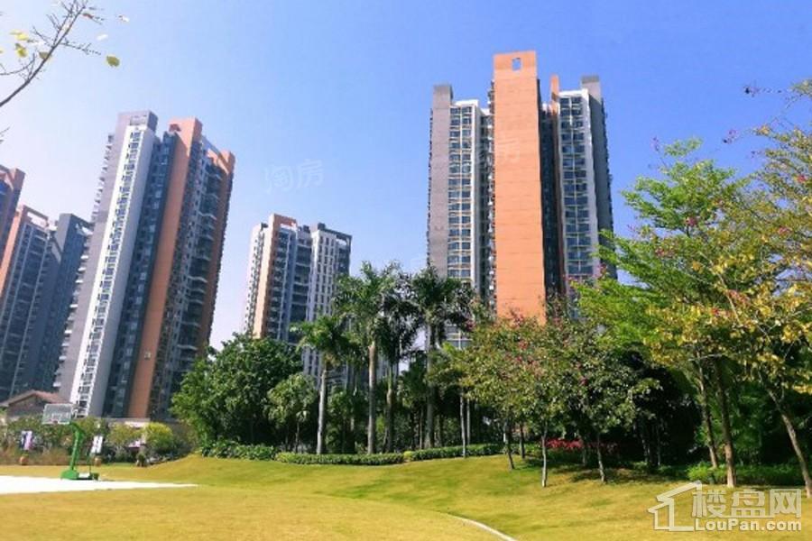 雅居乐国际花园实景图