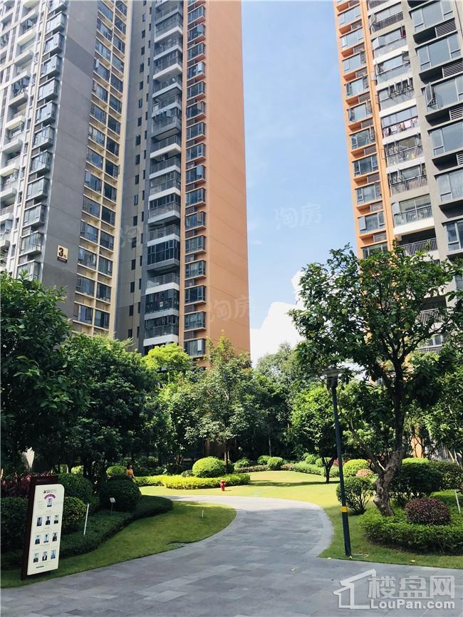 雅居乐国际花园实景图