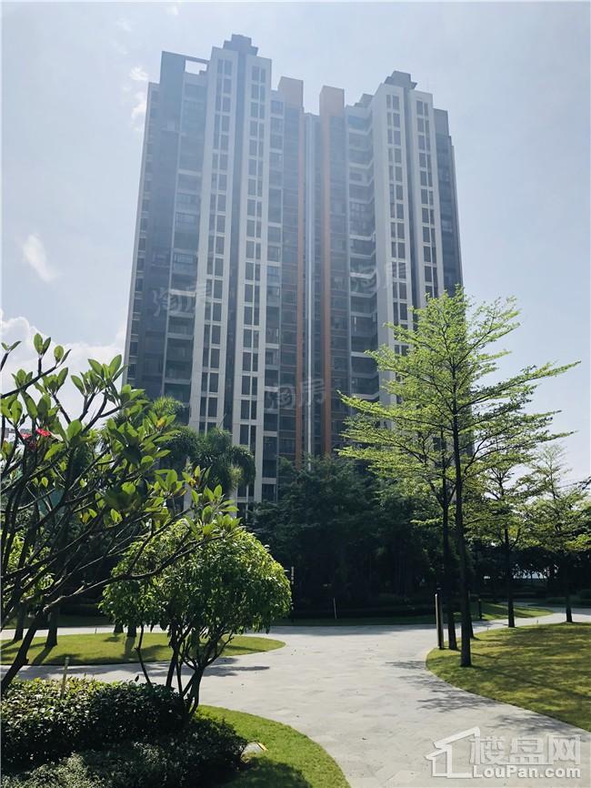 雅居乐国际花园实景图