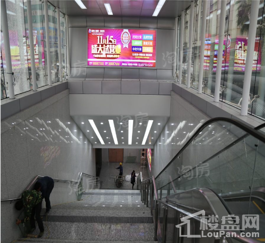 实景图