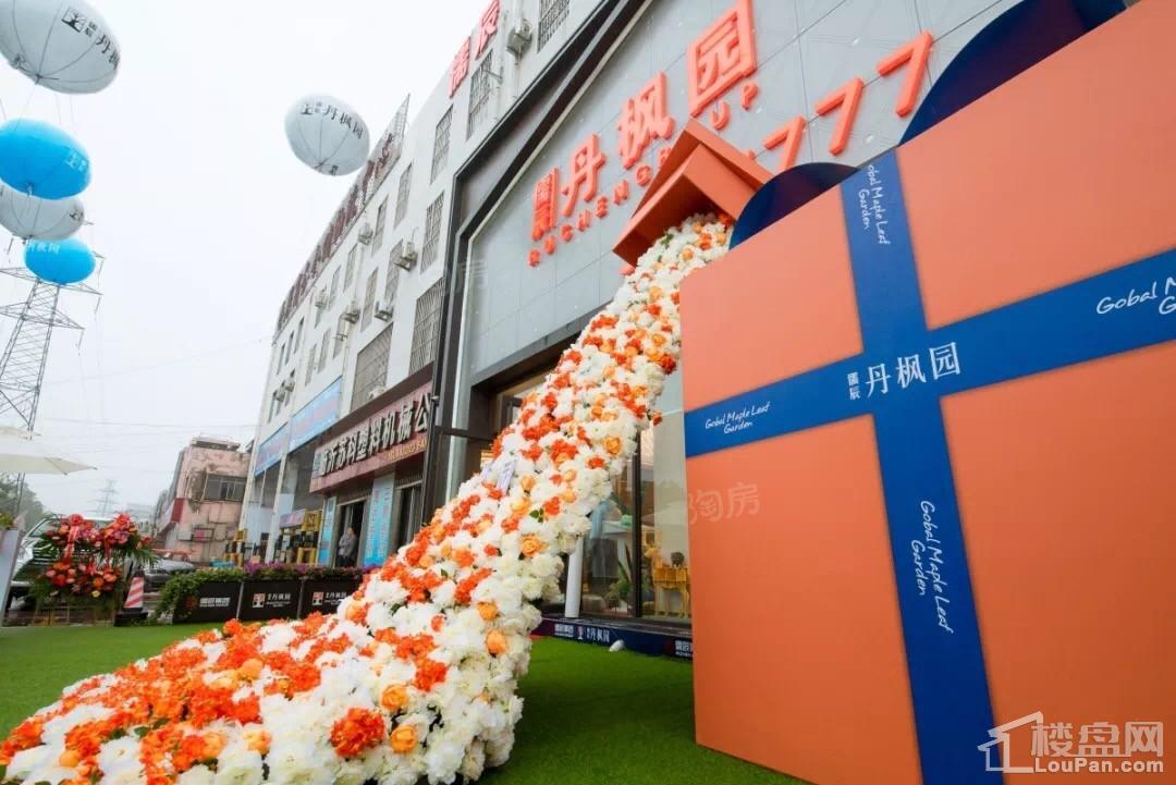 儒辰丹枫园实景图