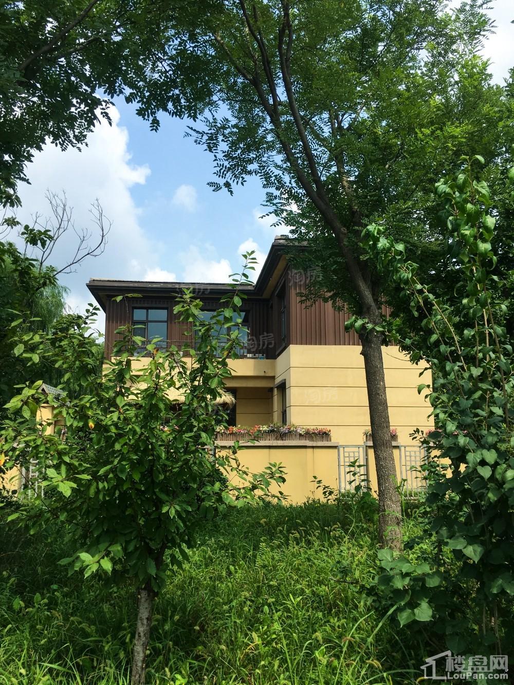 香邑澜湾实景图