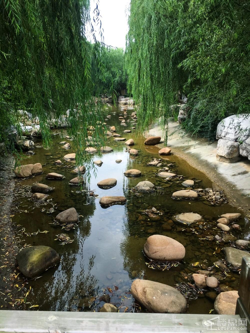 香邑澜湾实景图
