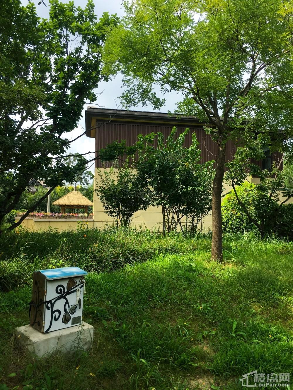 香邑澜湾实景图