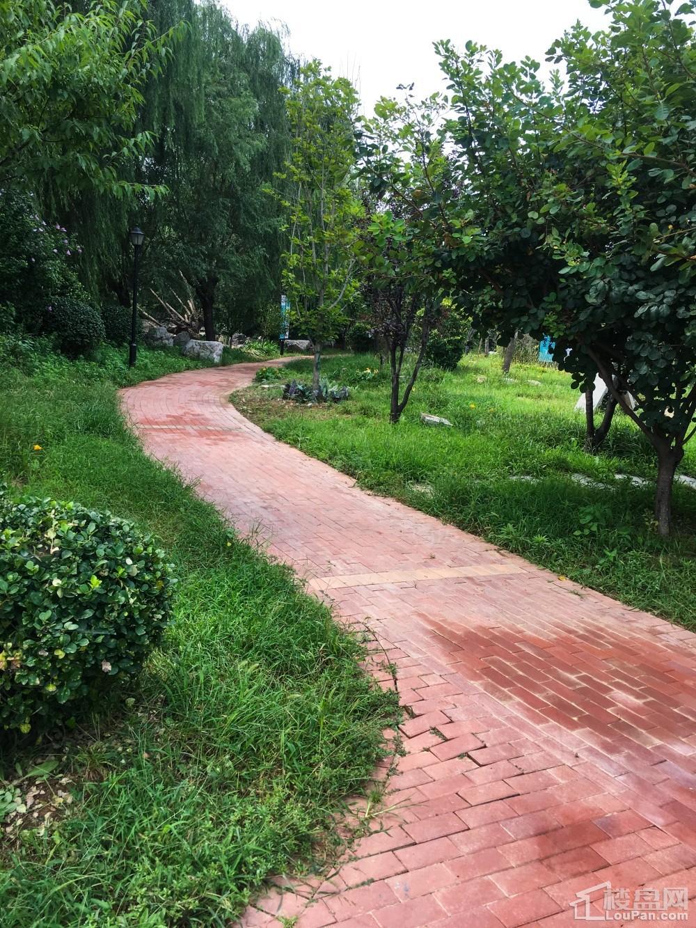香邑澜湾实景图