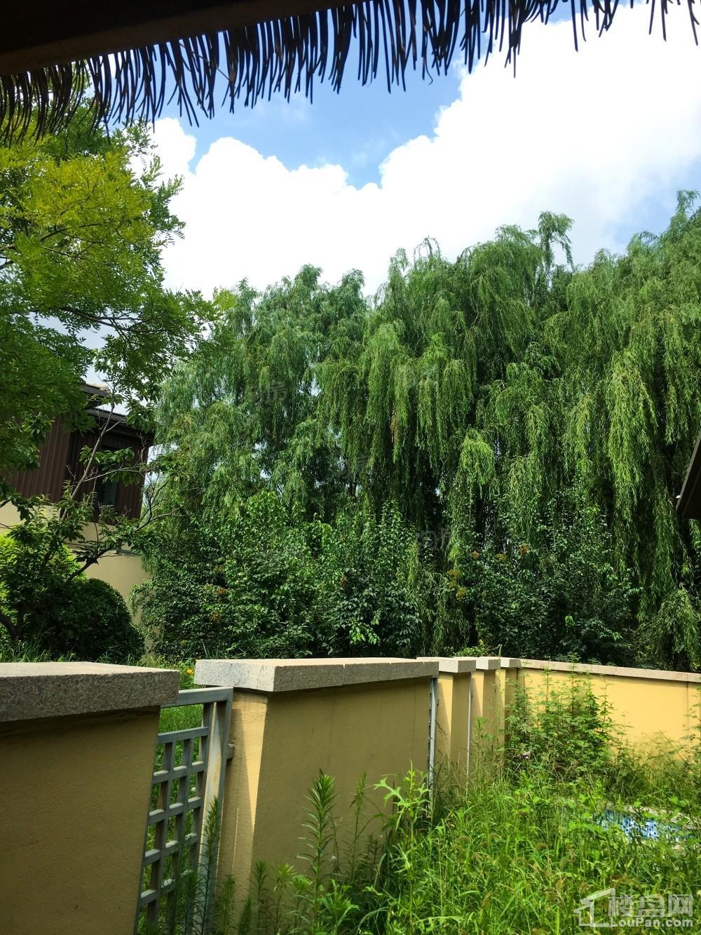 香邑澜湾实景图