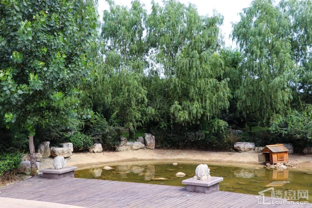 香邑澜湾实景图