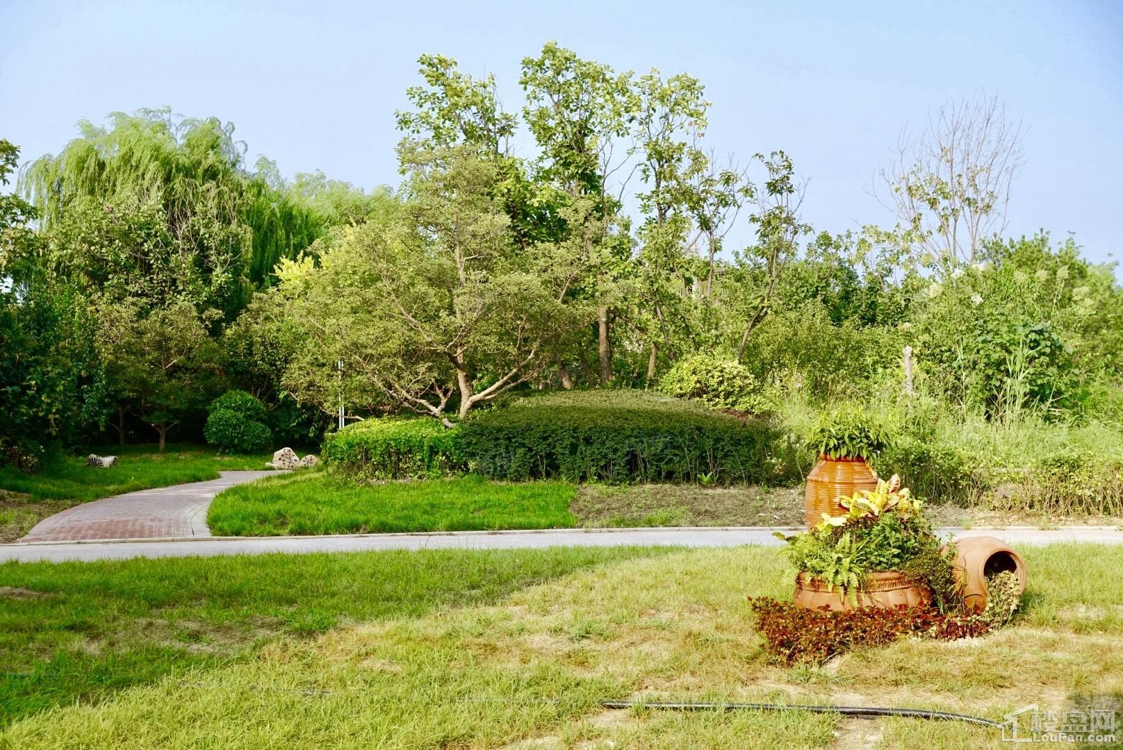 香邑澜湾实景图