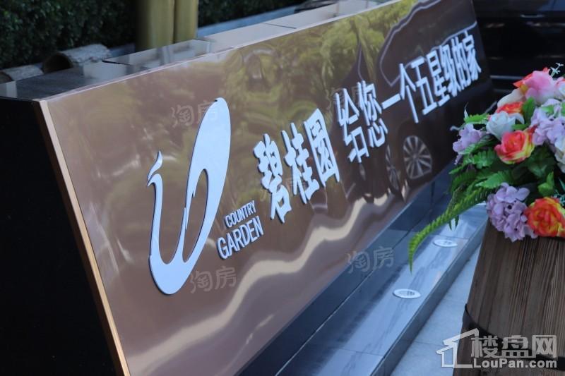 碧桂园御府实景图