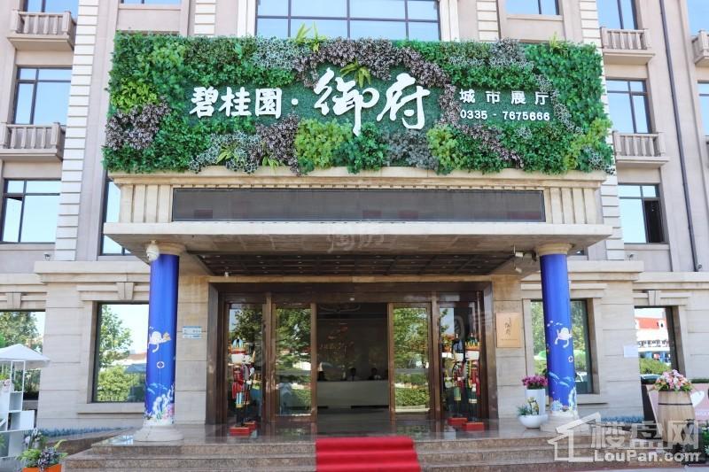 碧桂园御府实景图