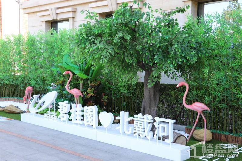 实景图