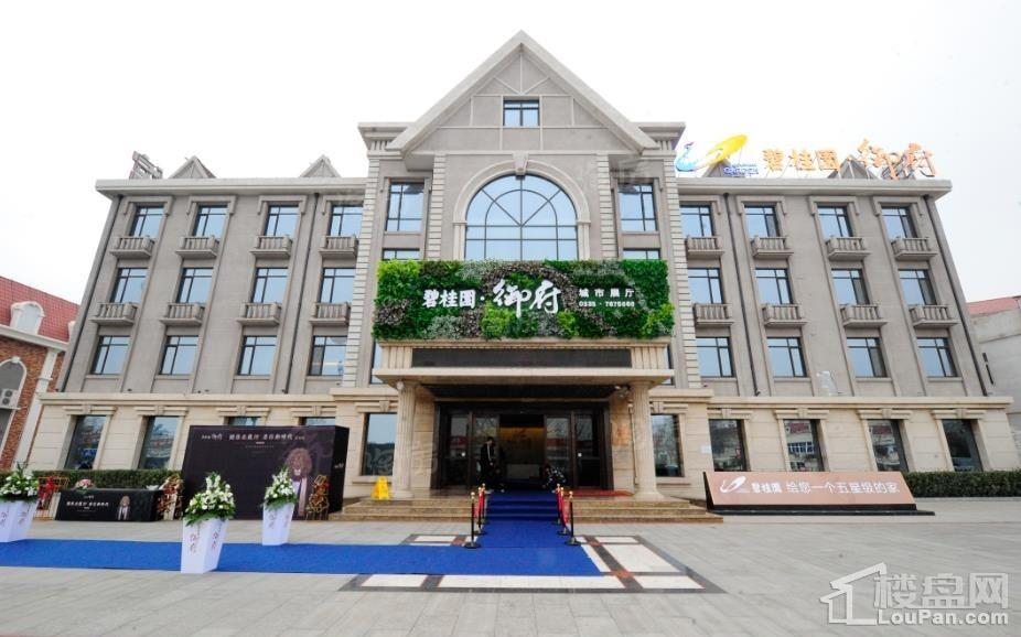 碧桂园御府实景图