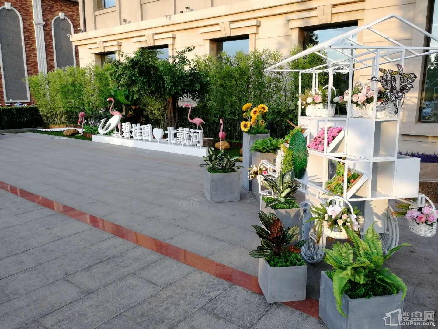 碧桂园御府实景图