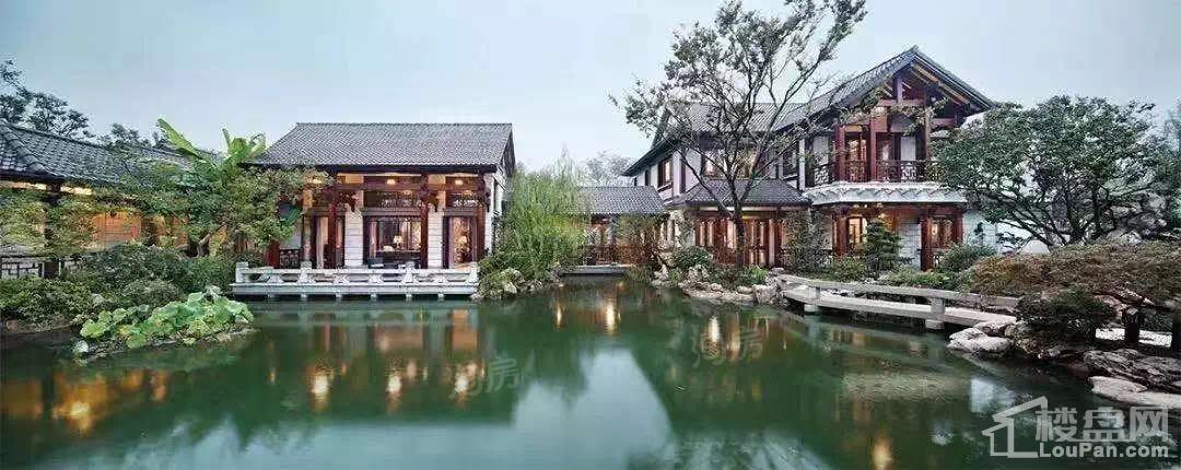 绿城·桃花源效果图