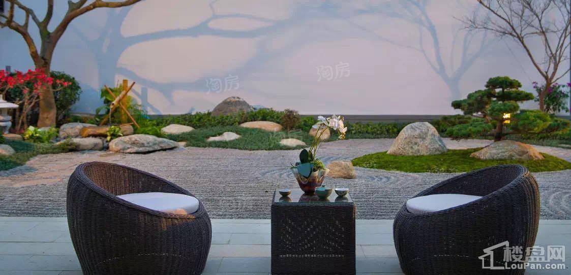 绿城·桃花源效果图