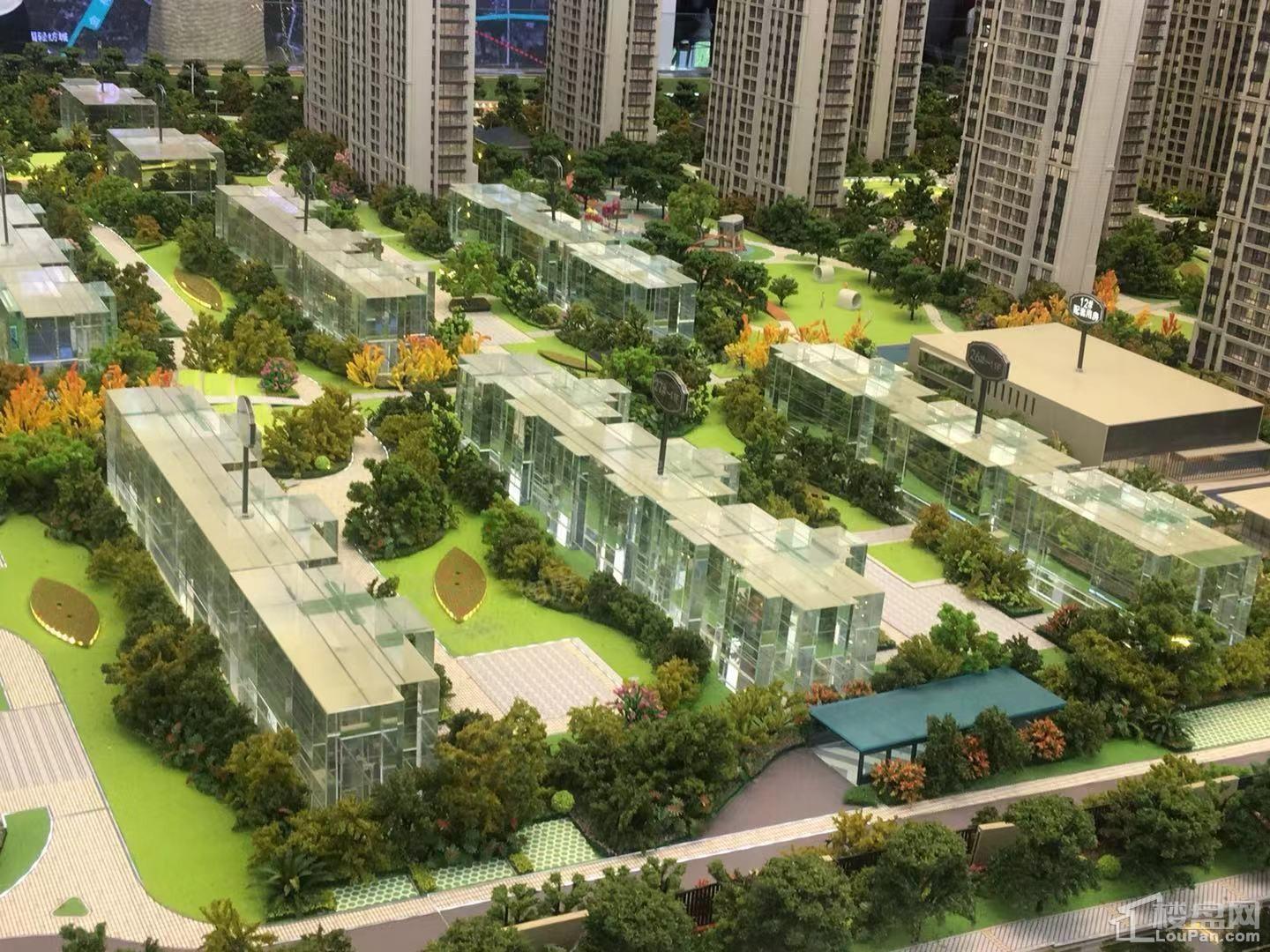 公元2020实景图
