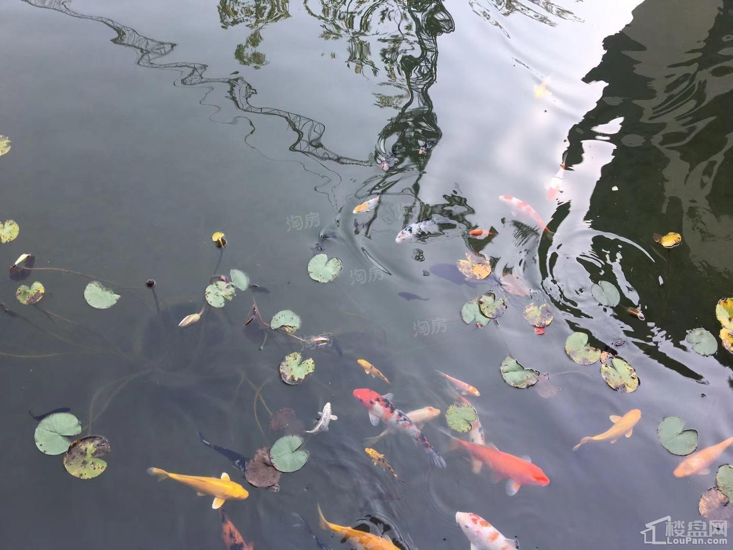 融创越州府实景图