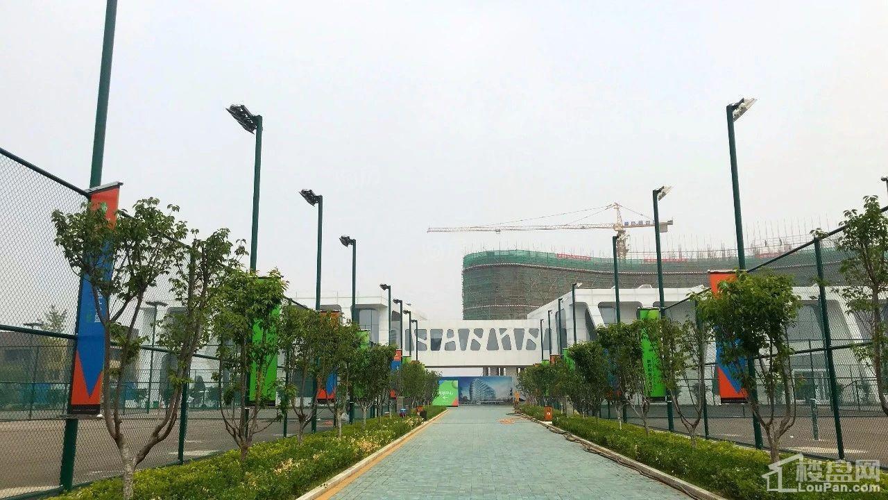 秦皇岛恒博华贸国际网球中心实景图