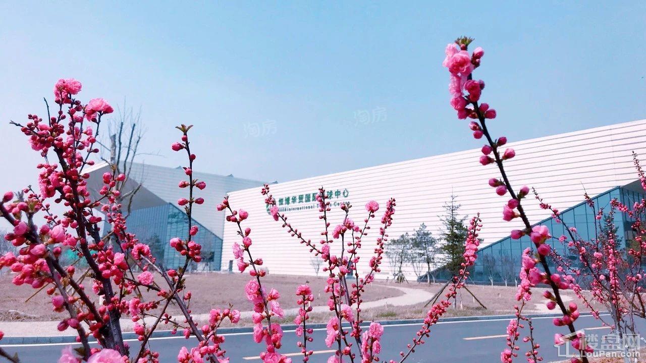 秦皇岛恒博华贸国际网球中心实景图