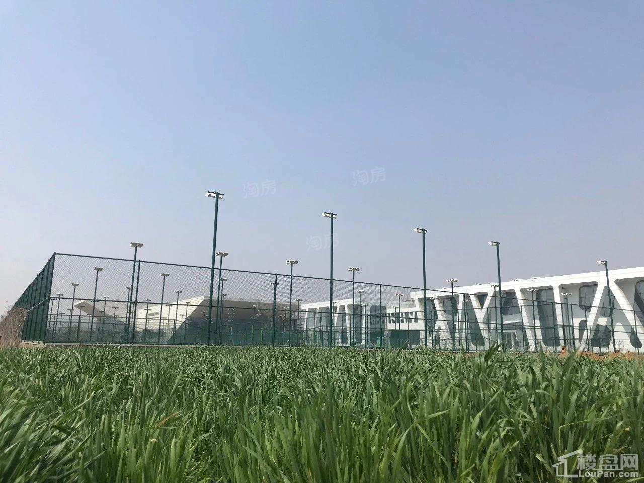 秦皇岛恒博华贸国际网球中心实景图