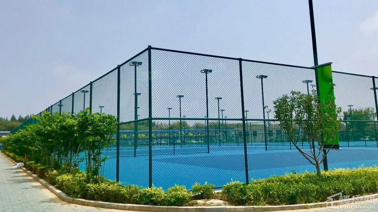 秦皇岛恒博华贸国际网球中心实景图