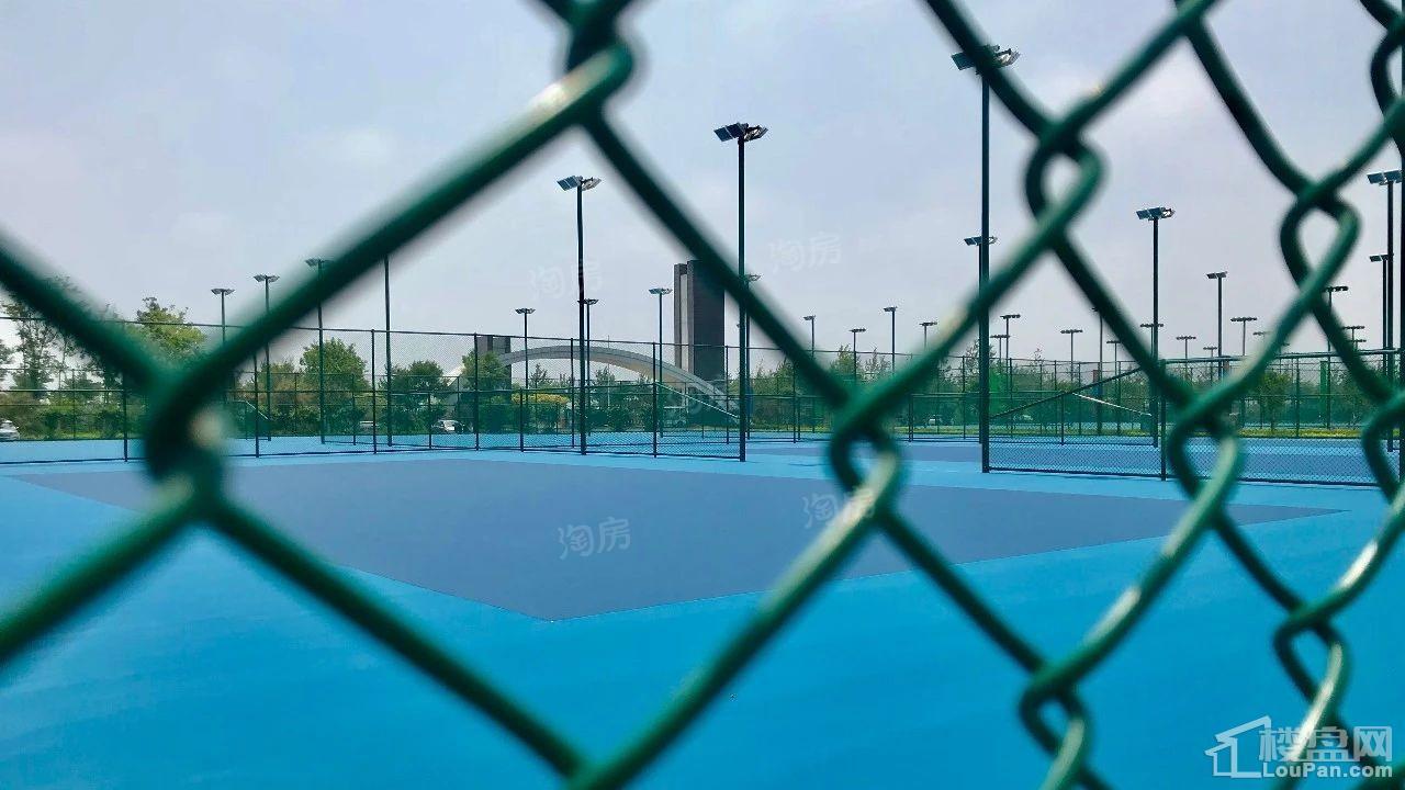 秦皇岛恒博华贸国际网球中心实景图