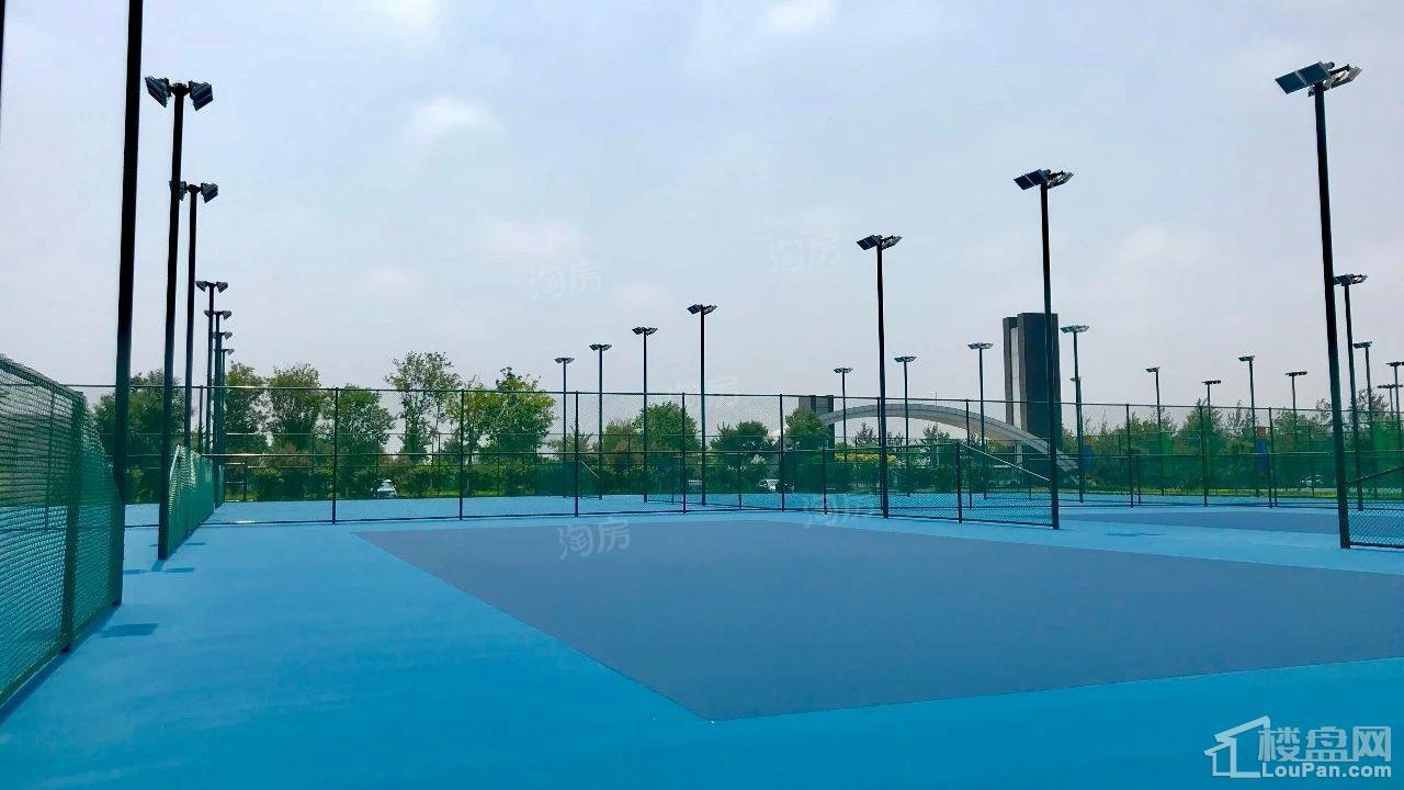 秦皇岛恒博华贸国际网球中心实景图