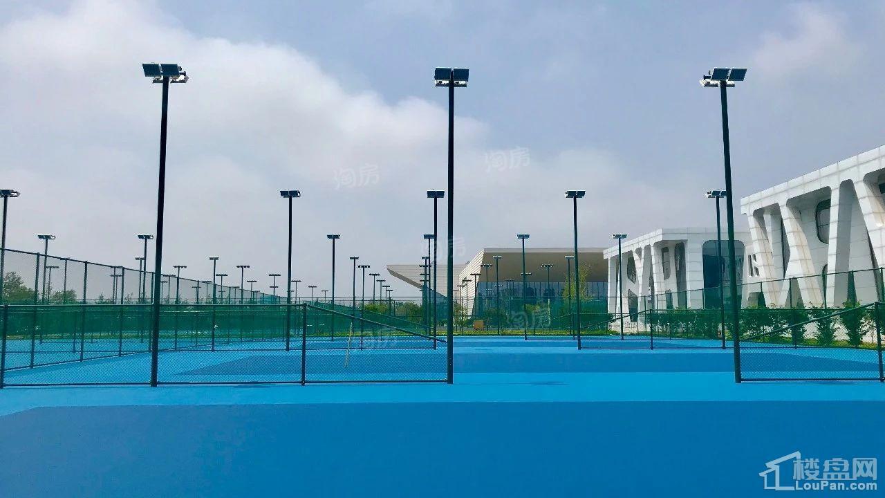 秦皇岛恒博华贸国际网球中心实景图