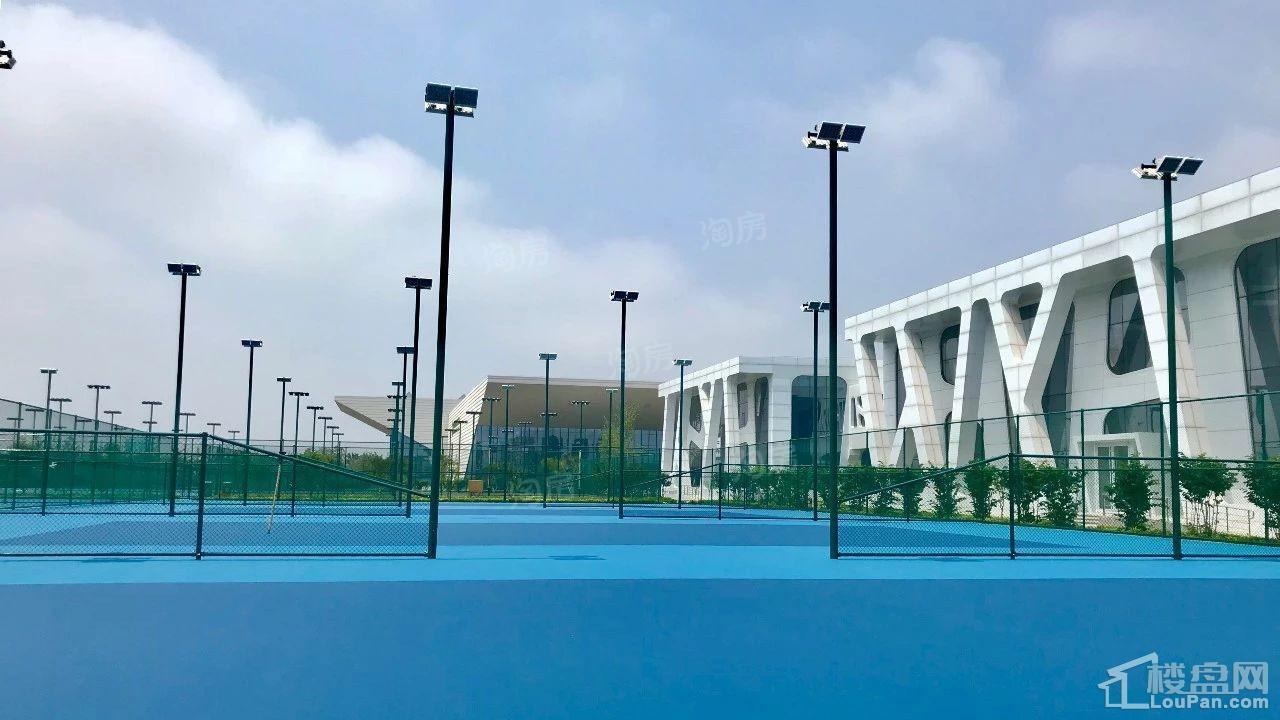 秦皇岛恒博华贸国际网球中心实景图