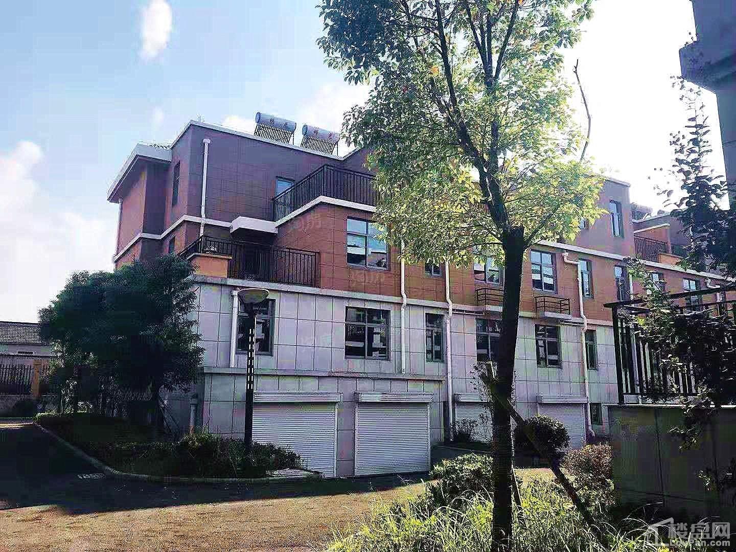 佳隆苑实景图