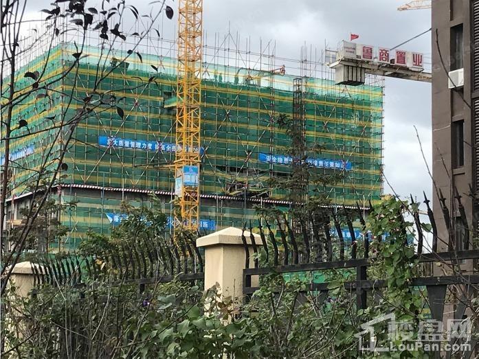 鲁商·铂悦公馆实景图