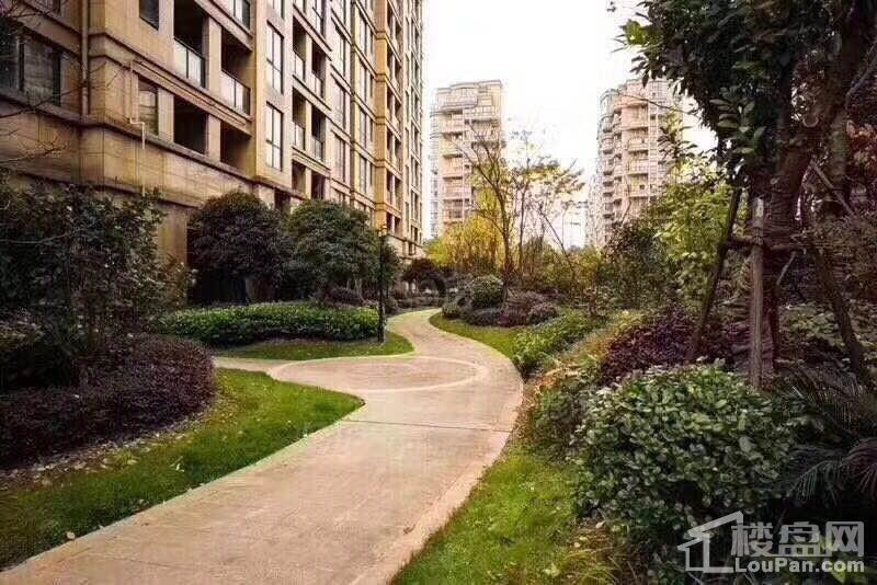 中设彩虹名家实景图