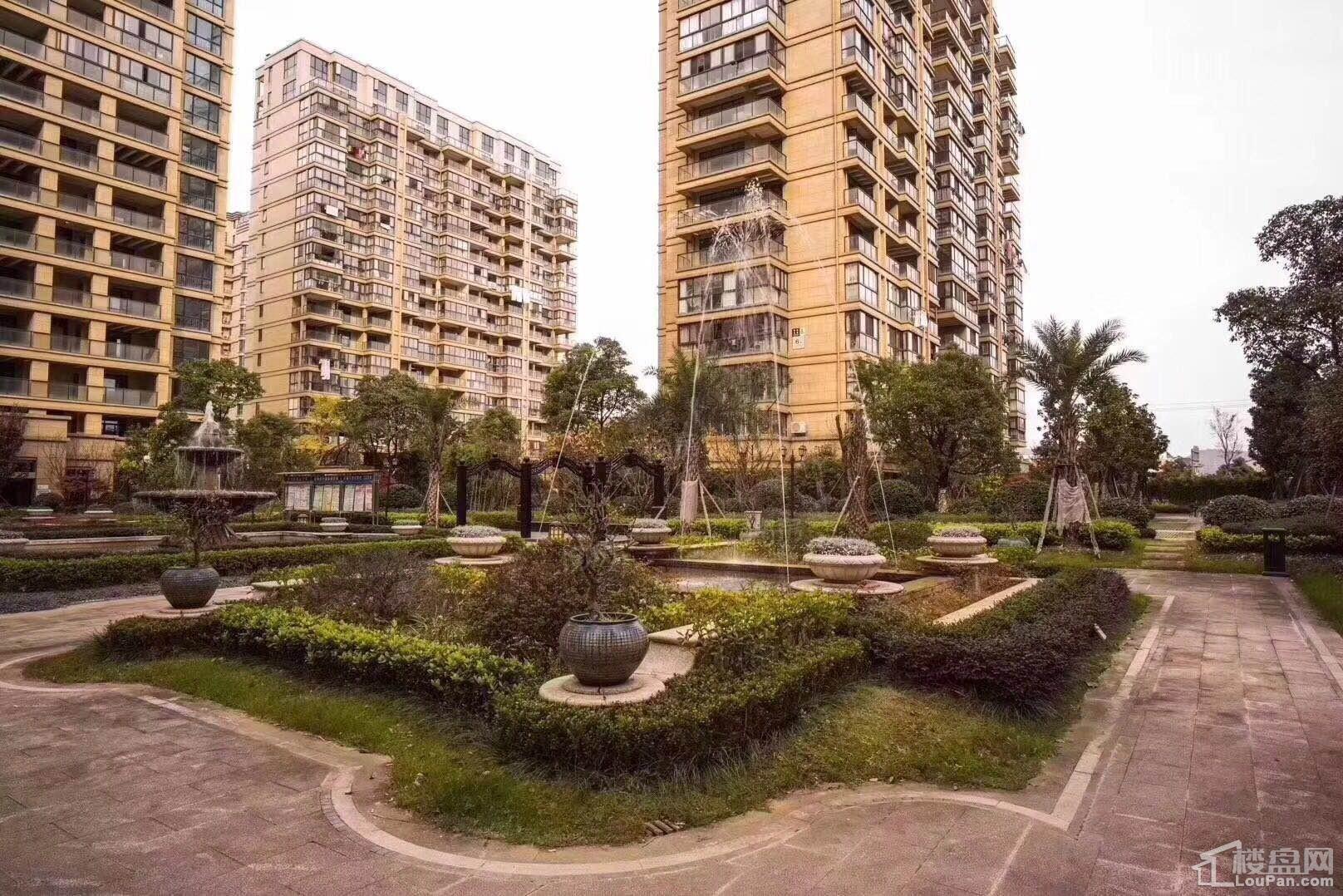 中设彩虹名家实景图
