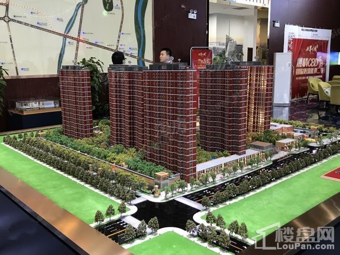 华鸿金色纽约实景图